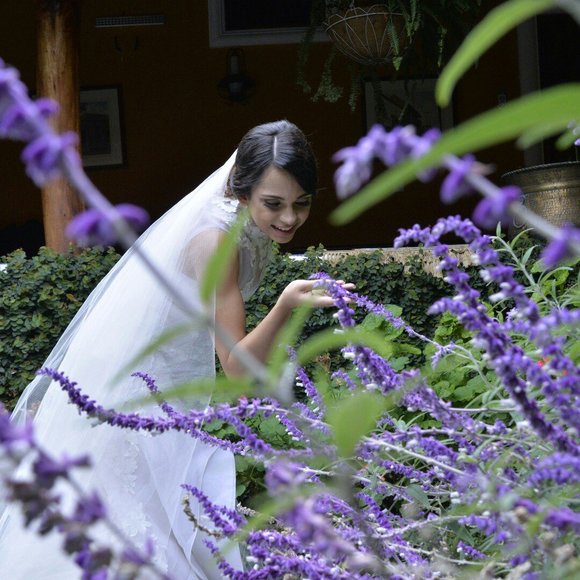 Meet your Posher, Vanessa - Picture 1 of 1